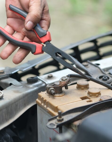 pexels-towfiqu-barbhuiya-8556051